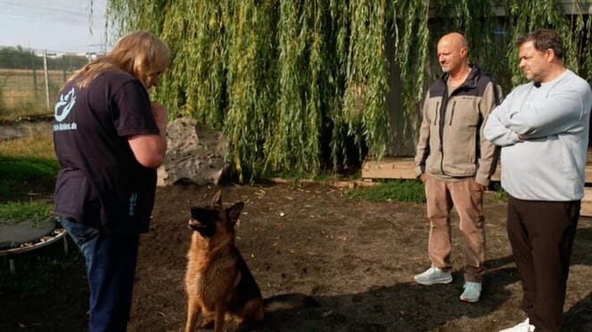 Martin Rütter und Detlev Steves im Tierheim