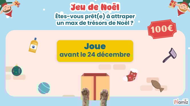 Participez à notre grand jeu de Noël et tentez de remporter des cartes cadeaux