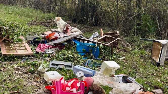 Mit Schrott und Müll illegal entsorgt: „Der Hund hätte sterben können“