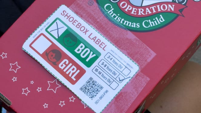 Nachts um 1:30 Uhr in Hamburg-Harburg: Ein Blick in einen Karton rettet 5 Leben!