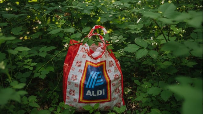 Una bolsa del ALDI cuelga entre los arbustos