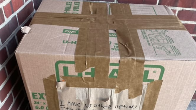 A box left at a shelter: the contents left volunteers heartbroken...