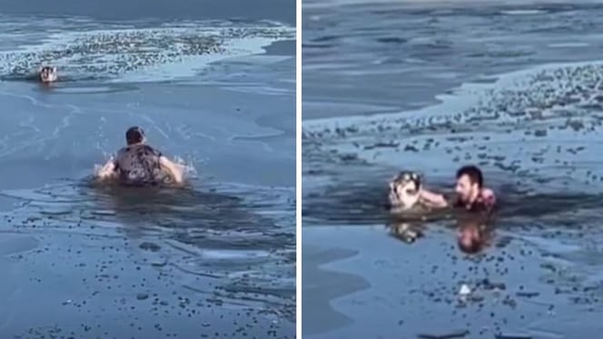 Man wading in icy water to save dog