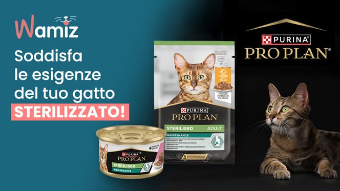 Scopri l'alimentazione per il benessere del tuo gatto sterilizzato con l'esclusivo kit PURINA® PRO PLAN® Sterilised!