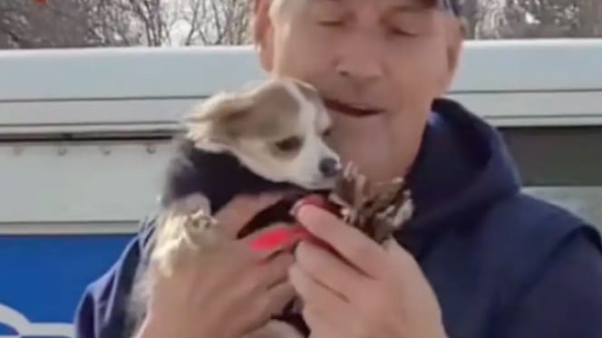 Le facteur s'arrête devant sa maison, mais ce n'est pas pour déposer le courrier : la vidéo qui émeut la Toile