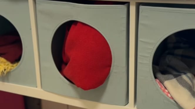 Katzenversteck im Tierheim