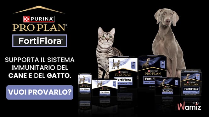 Partecipa al test del probiotico PRO PLAN® FortiFlora® per sostenere il benessere intestinale di cani e gatti!