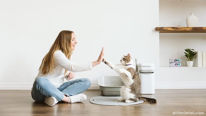 “Je ne pourrais plus m’en passer” : ce que pensent vraiment nos lecteurs de la Litter Genie Platinum