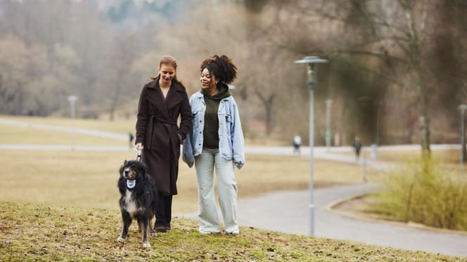 Balade des chiens Agria 2026 : et si une photo de votre chien pouvait aider des animaux abandonnés ?