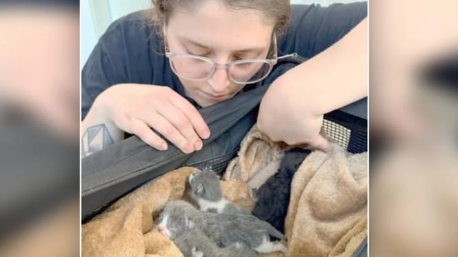 Tragödie im Kreißsaal: Tierheim-Mitarbeiter ringen nach Klinik-Anruf um Worte