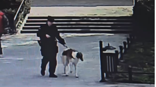 pies i policjant