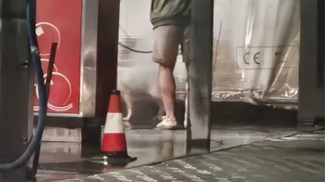 Właściciel chciał wykąpać psa, ale pomysł na jaki wpadł, przeraził Gdańszczan