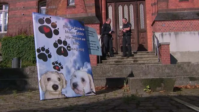 Schild mit Buddys Bild vor dem Amtsgericht Flensburg