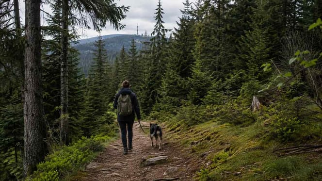 Mann mit Hund im Wald