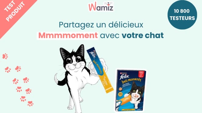 FELIX® Delimoments : L'instant de complicité irrésistible pour votre chat