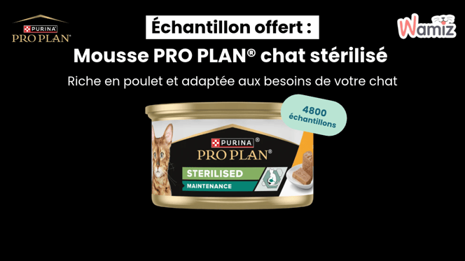 PRO PLAN® Sterilised Mousse au Poulet : le bon équilibre pour votre chat stérilisé