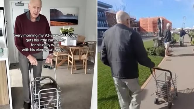 93-Jähriger geht mit Kater spazieren