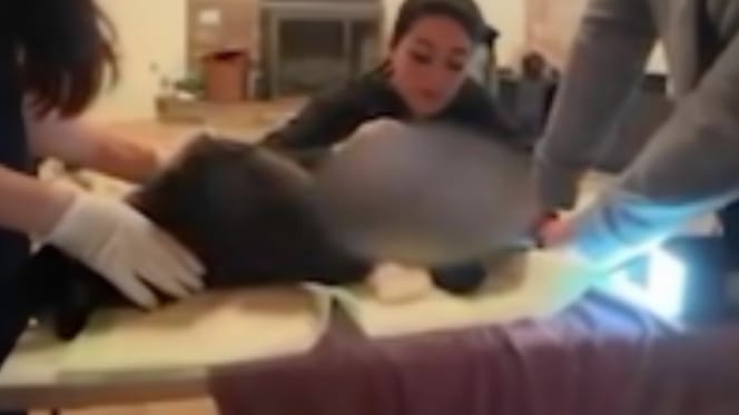 Atto illegale di medicina