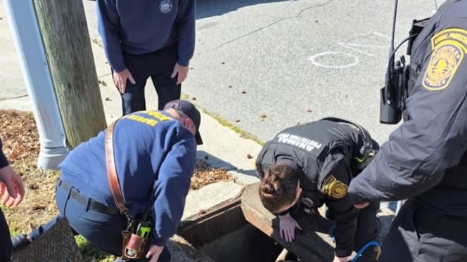 Animal control officers