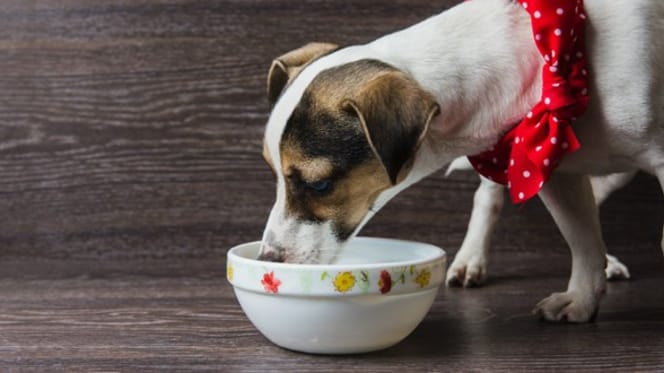 Wat mag een hond eten van tafel?