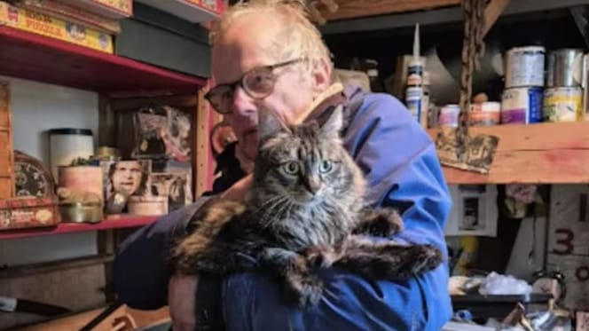 Alle vermisten katten na de explosie in Utrecht zijn weer terecht