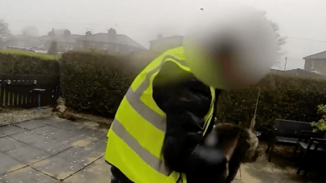 Amazon delivery driver stealing cat in West Yorks
