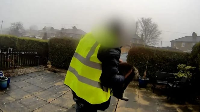 Amazon-Fahrer klaut Katze Nora