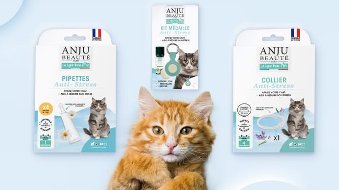 Anju Beauté