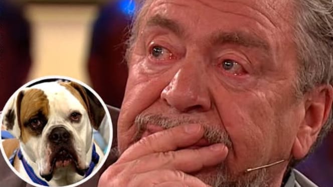 Armin Rohde weint um Hund