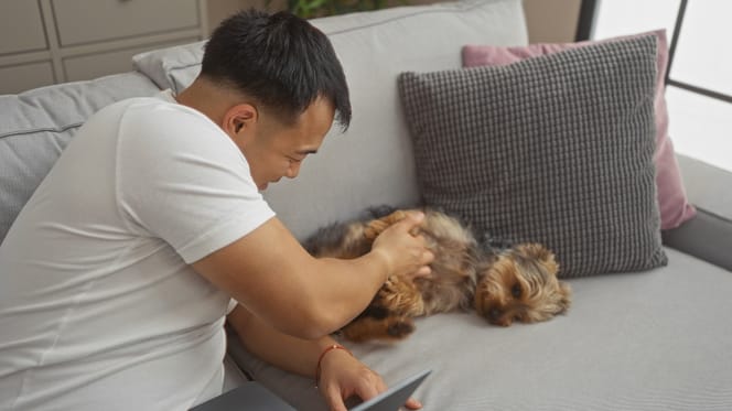 Asiate spielt mit Hund