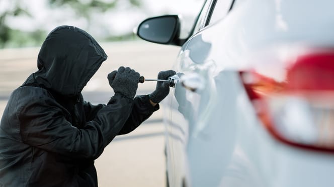 Auto-Einbrecher klaut Hund