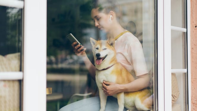 Baasjes leg je smartphone neer, je hond heeft aandacht nodig