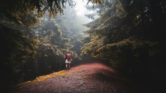 Balade en forêt