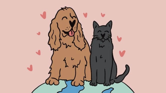 bambina copre il cane con una coperta
