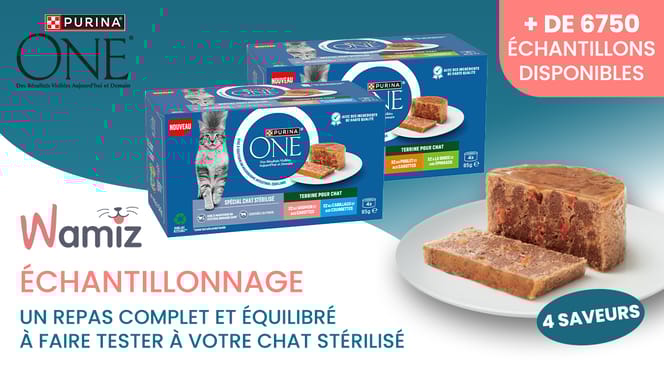 Bannière de la campagne de test produit Wamiz pour les terrines Purina ONE Spécial Chat Stérilisé.