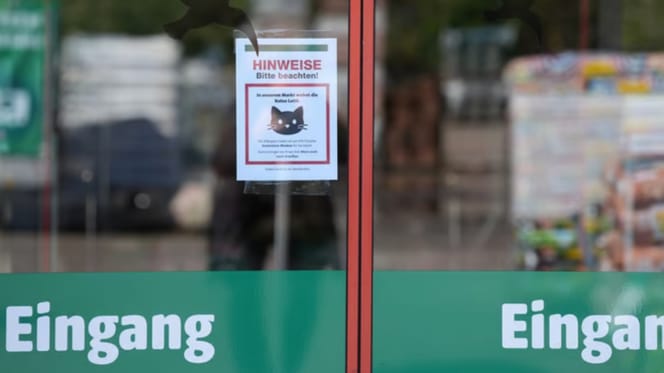 Baumarkt-Eingangstür mit Katzenschild