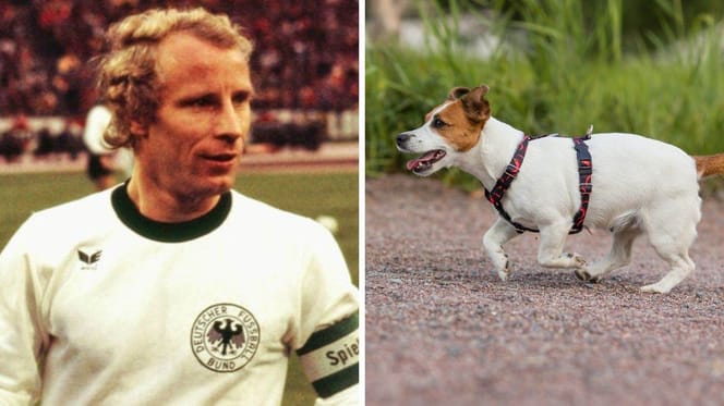 Berti Vogts' Spitzname war "der Terrier"