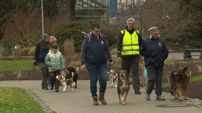 Besucher des Hundetags im Mannheimer Luisenpark