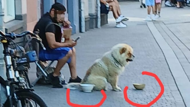 Bettler mit Akkordeon und Hund