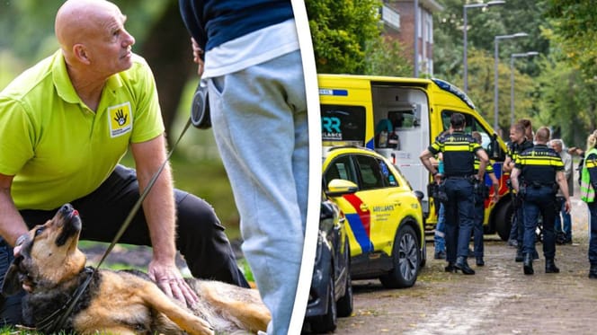 Bij brand in woning Rotterdam overleeft kat het niet en hond is er slecht aan toe