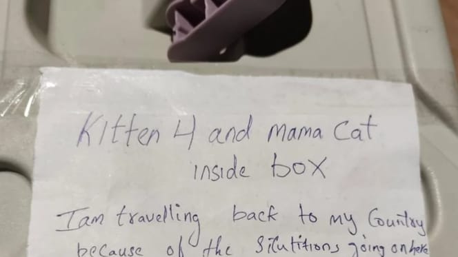 Handwritten note on a pet carrier