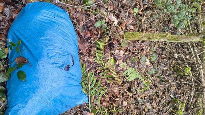 Niebieski worek na śmieci na leśnej ściółce