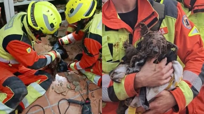 bomberos-valencia-rescatan-perro-tuberia-xavita