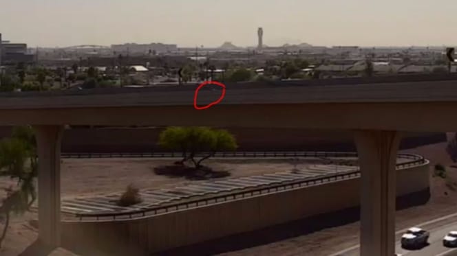 White ball of fluff on a bridge