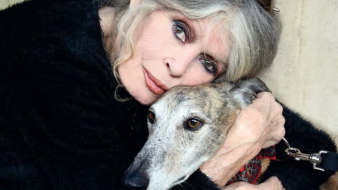 Brigitte Bardot avec chien