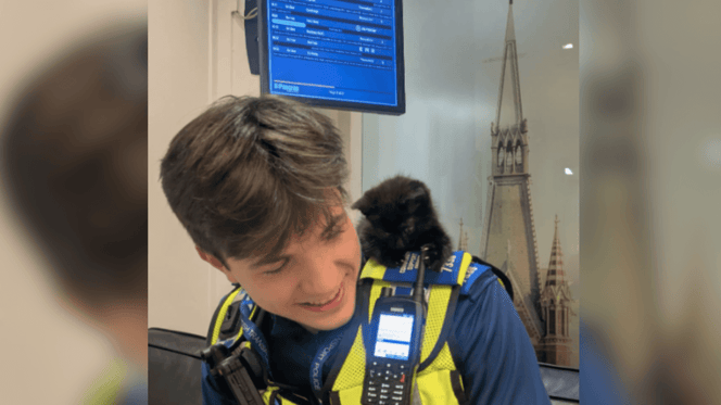 British Transport Police officer with a black and white kitten