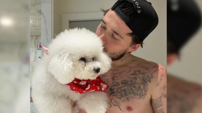 Brooklyn Beckham holding white dog