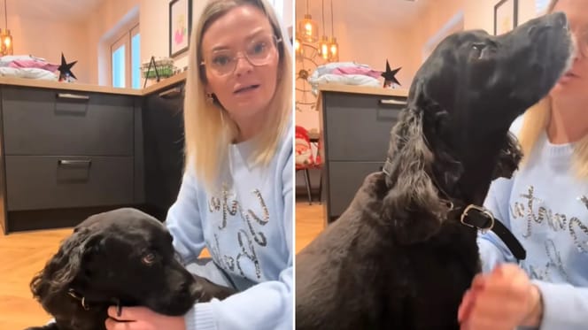 Bruiser und seine Halterin nach dem "Blutbad"