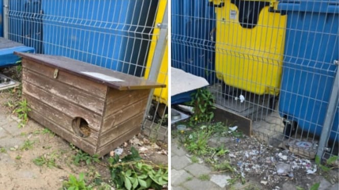 budka dla kotów i  jej znikniecie
