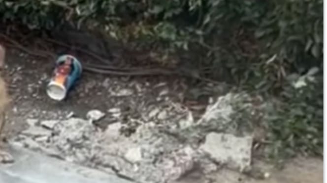 Cespugli vicino a un supermercato